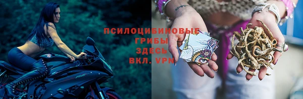 дживик Аркадак
