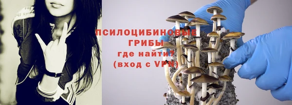 apvp Балабаново